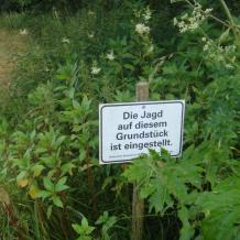 Bayern: Wiesengrundstück in Landshut jagdfrei