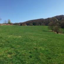 15 Hektar Grundstücke mit Wiesen, Wald und Feldern