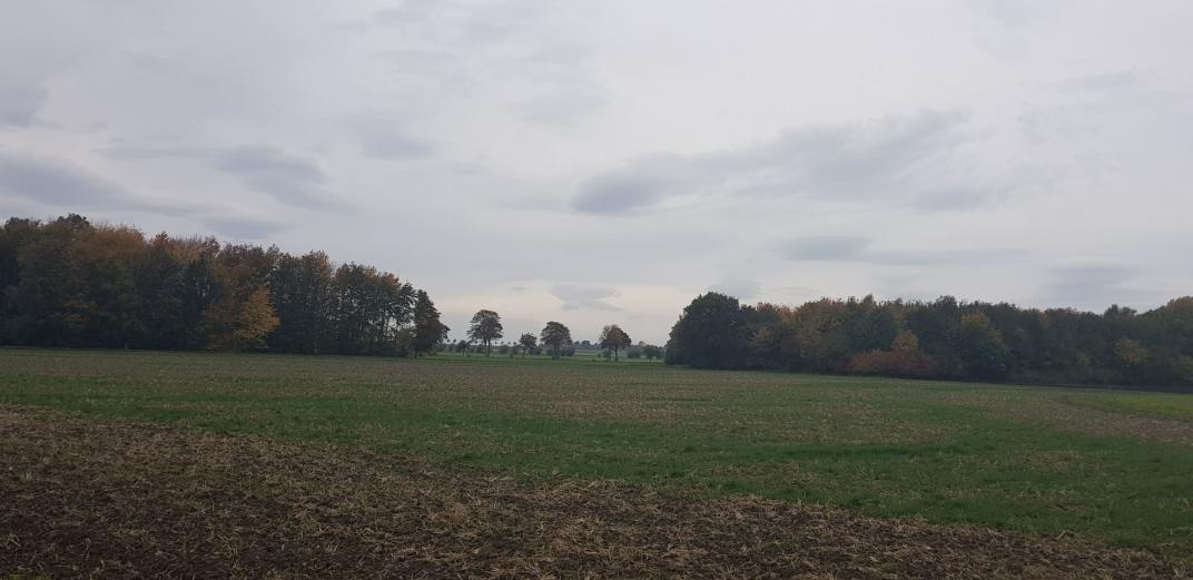 Diese beiden Wäldchen im Landkreis Hildesheim