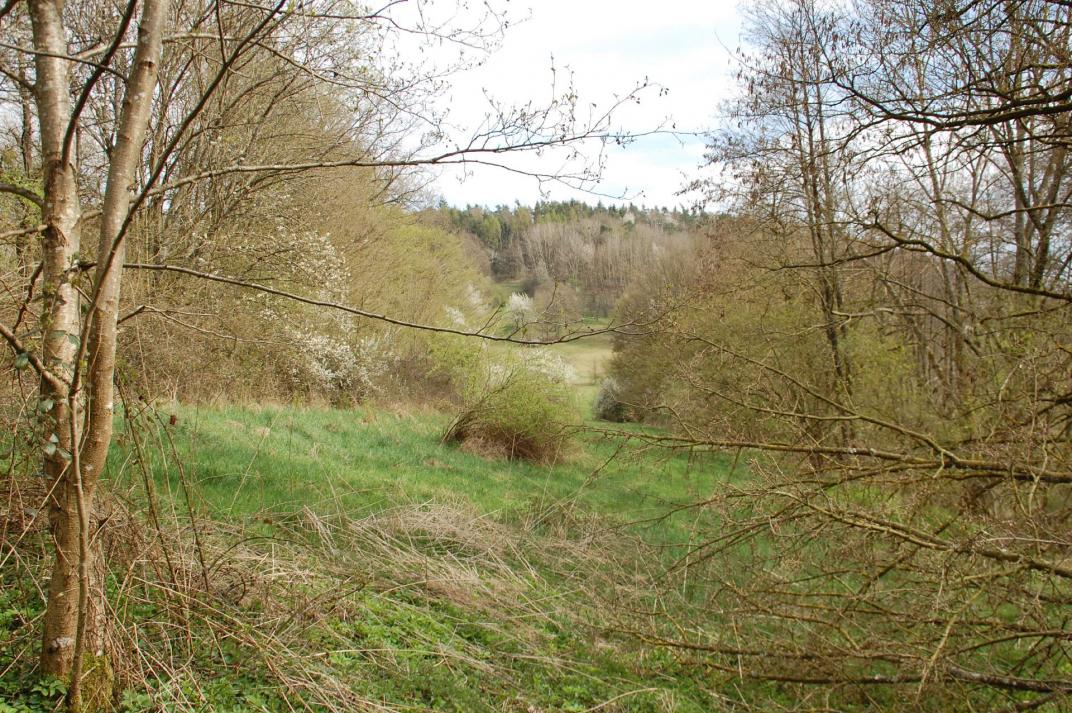 Dieses Grundstück im Steigerwald 