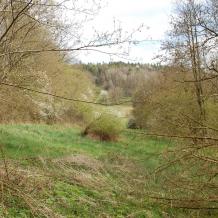 Dieses Grundstück im Steigerwald 