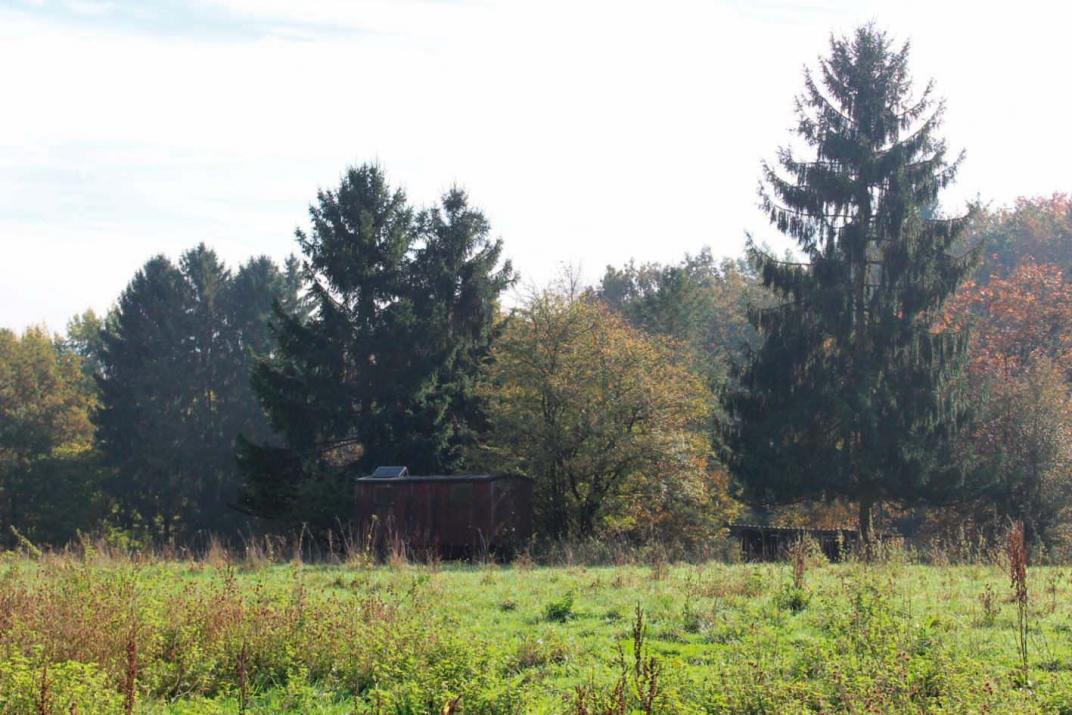 Tierfreunde haben für ihr Grundstück 