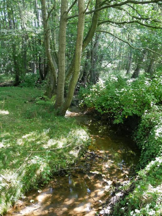 Die Familie Janssen hat ein Biotop in Niedersachsen erworben, um Lebensraum für wild lebende Tiere zu schaffen. 