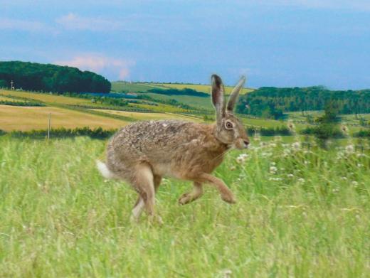 Die Landwirte von Terra Nova 